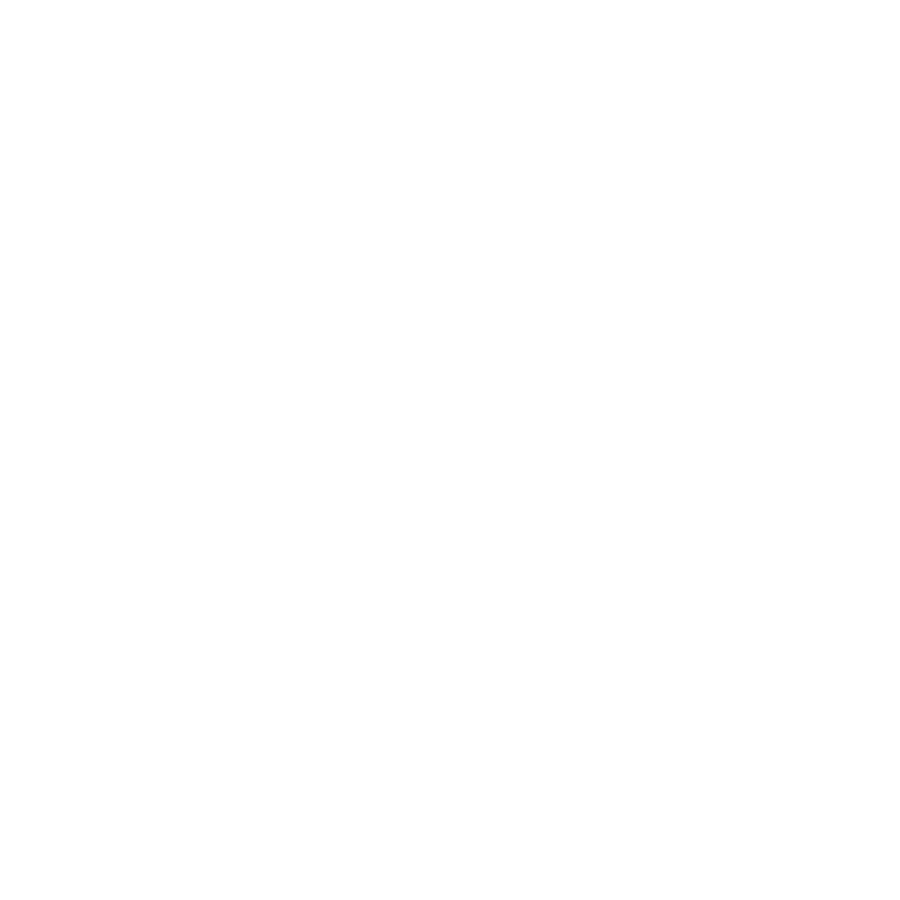 S-TIER globe logo